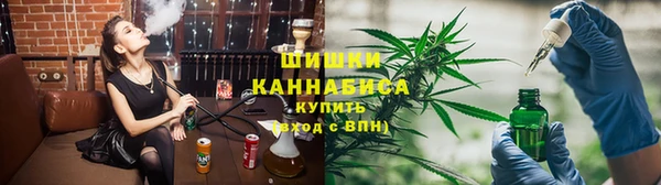 прущие грибы Армянск