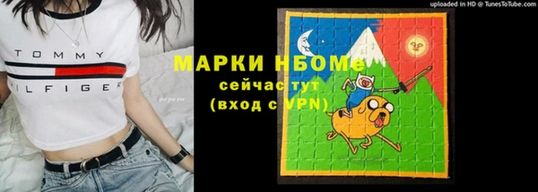 стаф Арсеньев