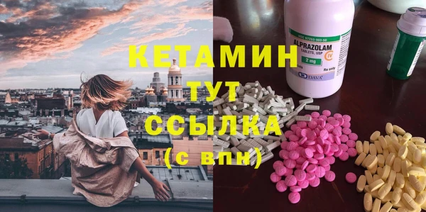 шишки Медвежьегорск