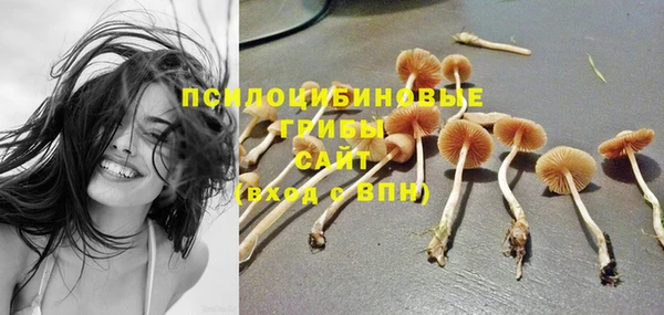 прущие грибы Армянск