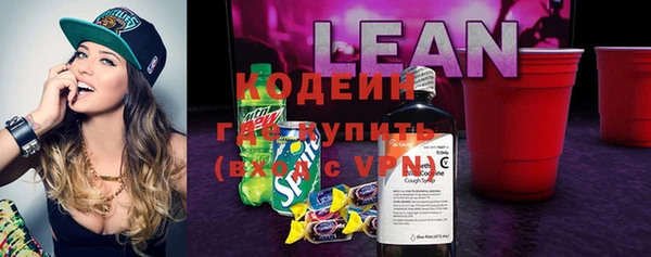 стаф Арсеньев